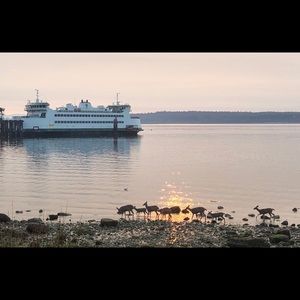 Meet your Posher, Laurel